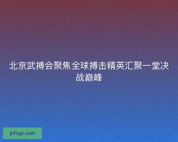 北京武搏会聚焦全球搏击精英汇聚一堂决战巅峰