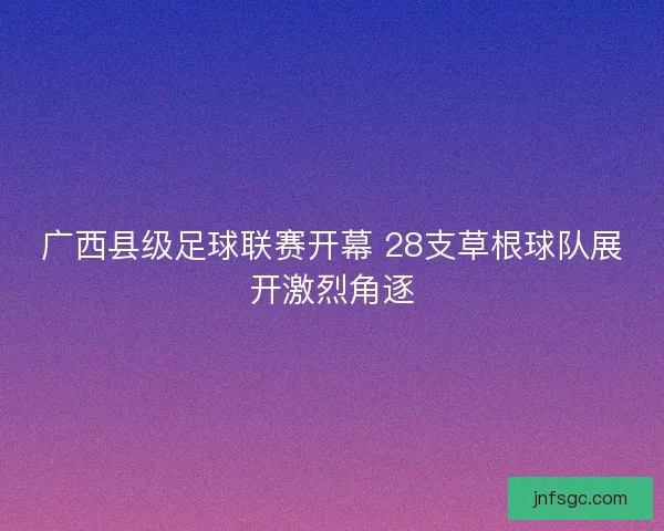 广西县级足球联赛开幕 28支草根球队展开激烈角逐